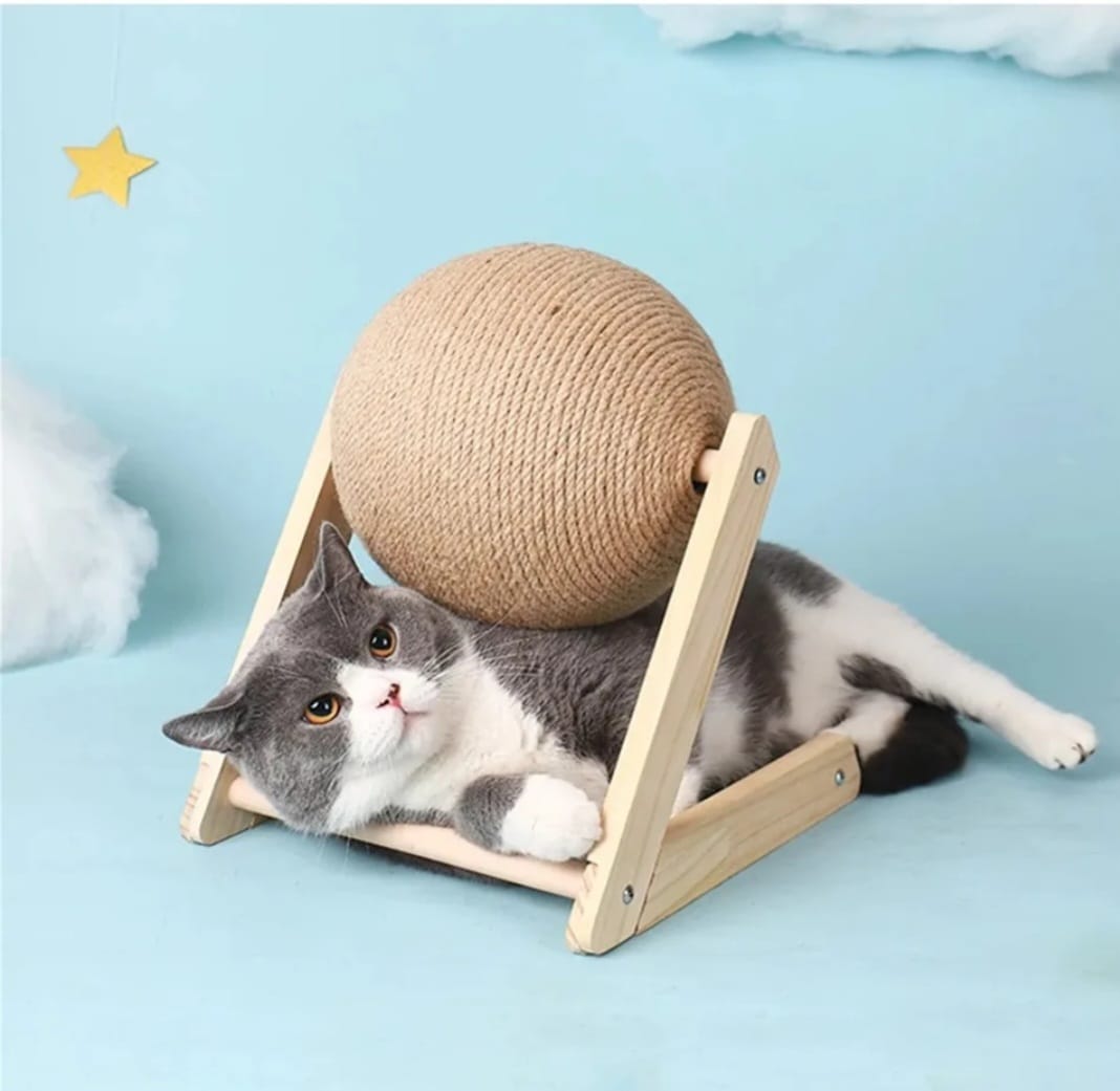 Toy ball - scratching post